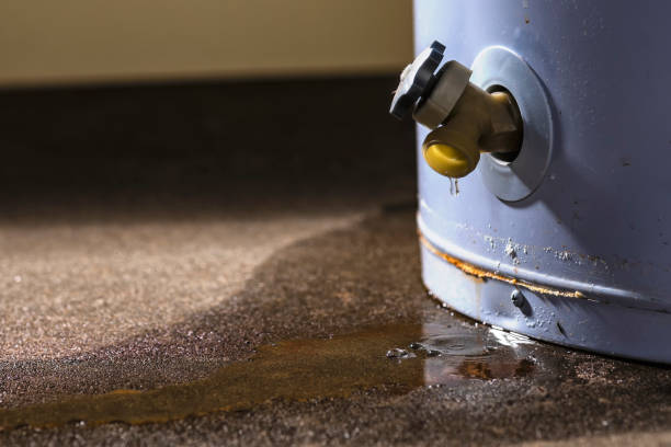 Best Professional water damage repair  in Delaware, OH