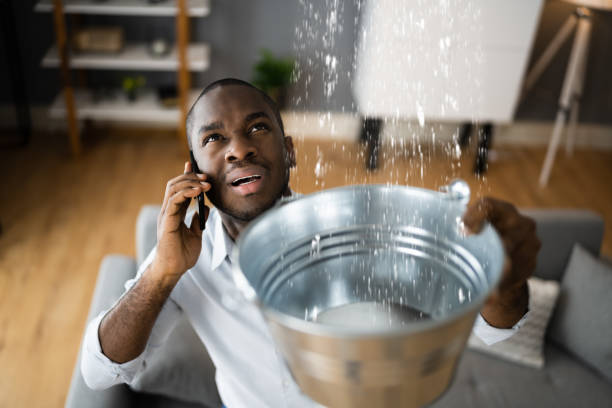 Best Flood restoration services  in Delaware, OH