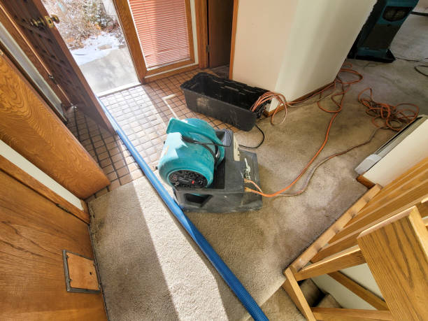 Best Basement water damage restoration  in Delaware, OH