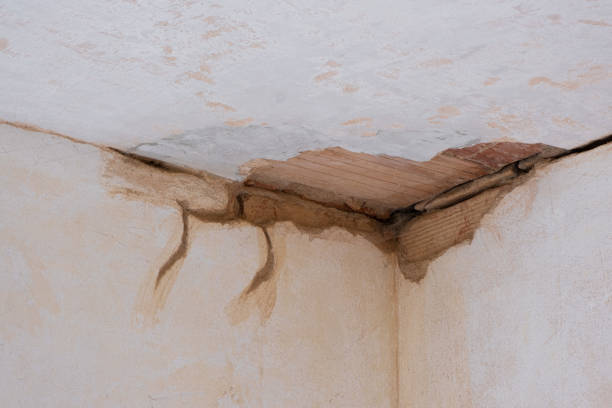 Best Water damage cleanup near me  in Delaware, OH