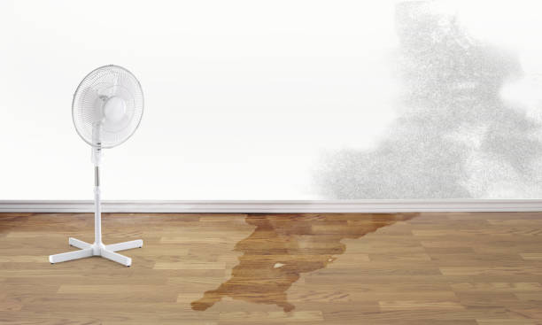 Best Water damage restoration experts  in Delaware, OH