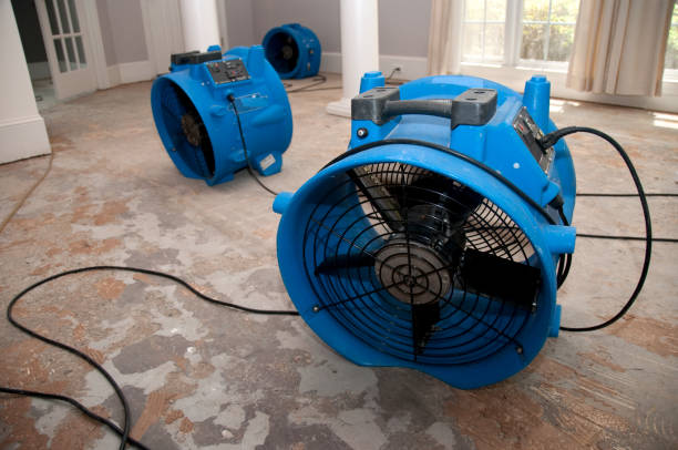 Best Fire Damage Restoration  in Delaware, OH