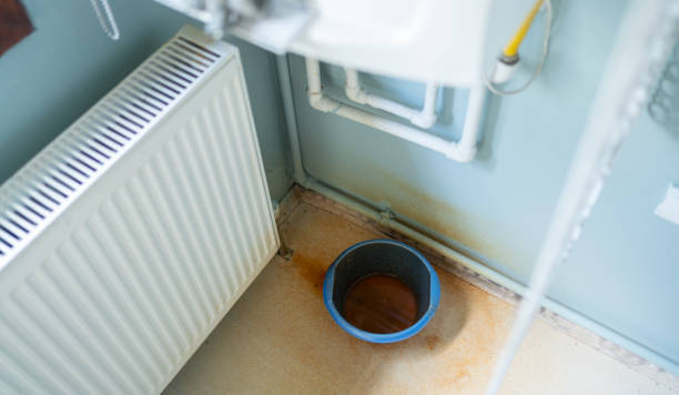 Best Mold removal after water damage  in Delaware, OH