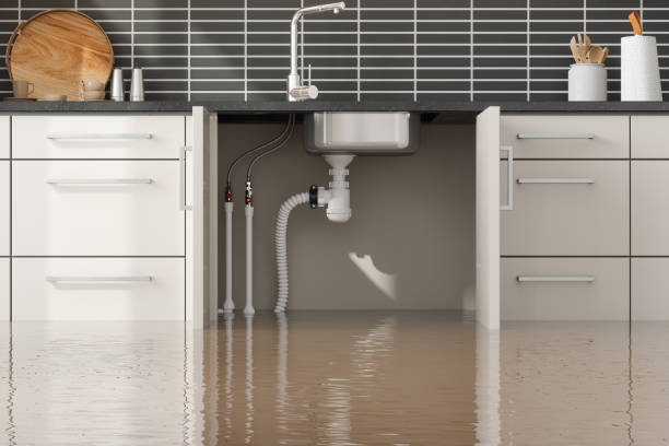 Best Local water damage restoration  in Delaware, OH