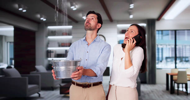 Best Ceiling water damage repair  in Delaware, OH