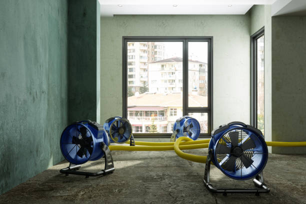 Best Residential water damage restoration  in Delaware, OH