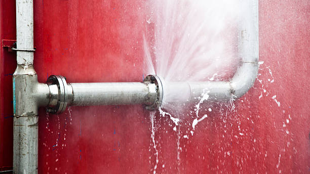 Best Flood restoration services  in Delaware, OH